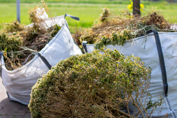 Best Basement Cleanout Services  in Laie, HI